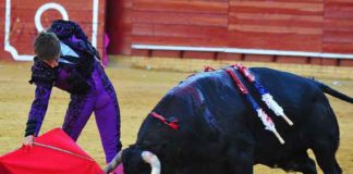 Muletazo de El Juli en La Merced el pasado sábado. (FOTO: Vicente Medero)