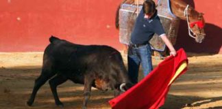 El novillero onubense Emilio Silvera.